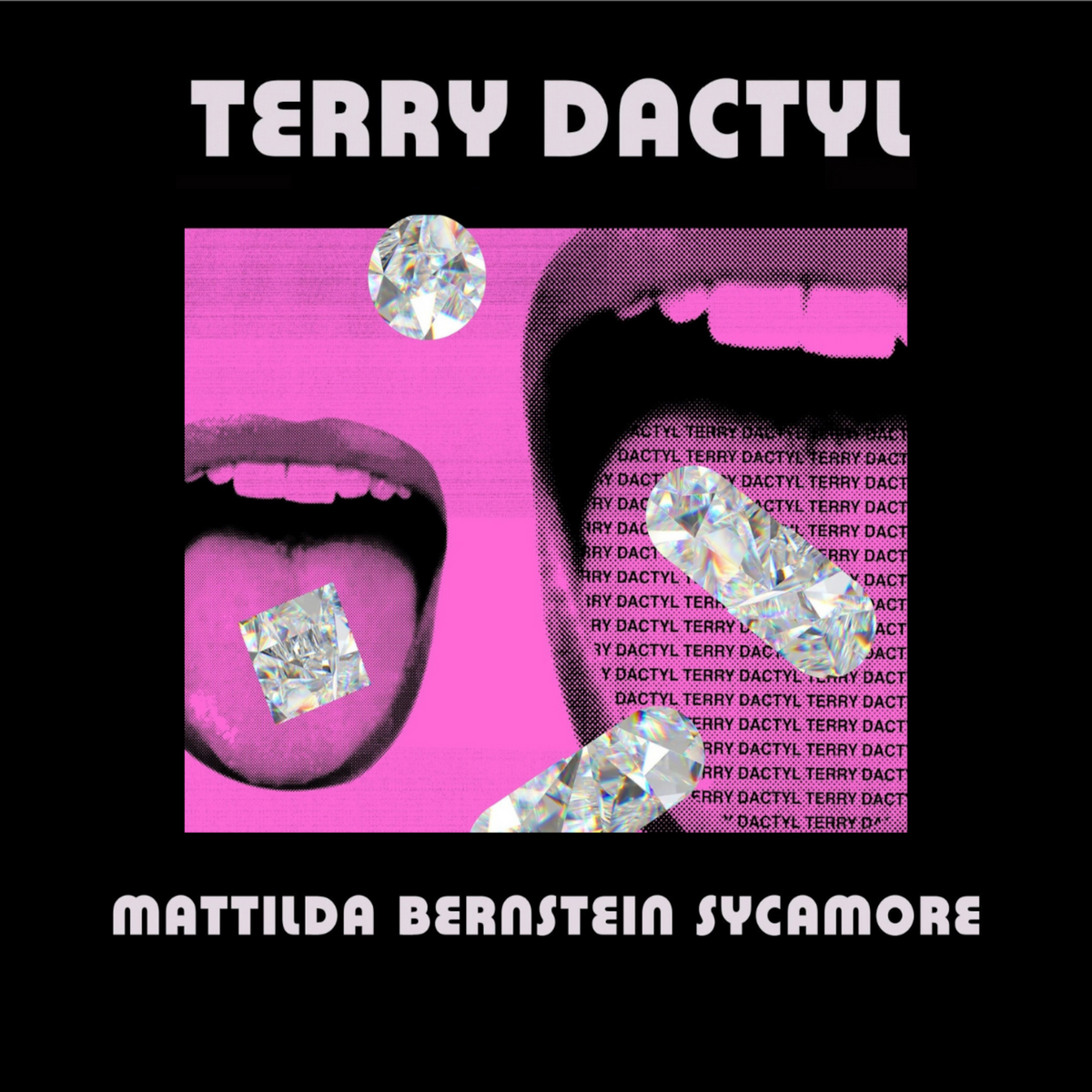 Terry Dactyl Audiobook